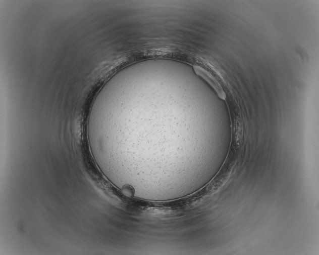 X0000113140455200909181733