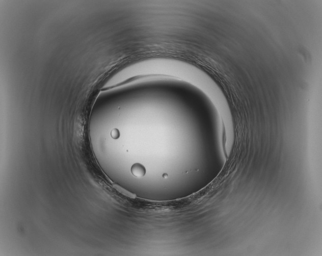 X0000113140456200909181733