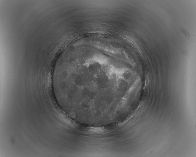 X0000113140457200909181733