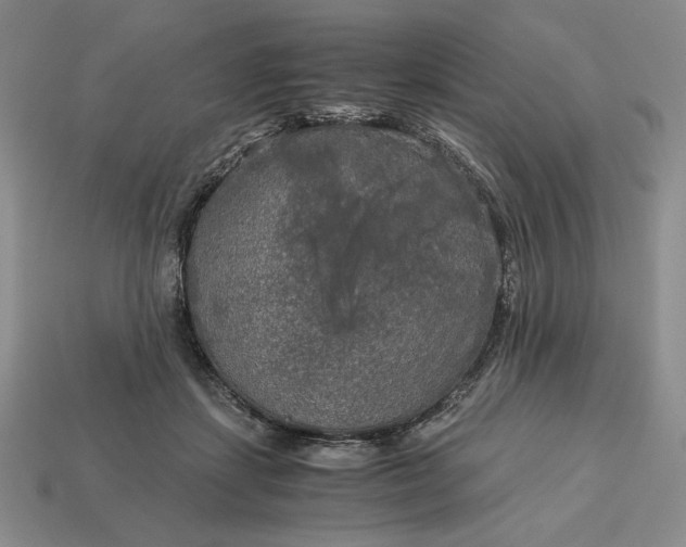 X0000113140459200909181733