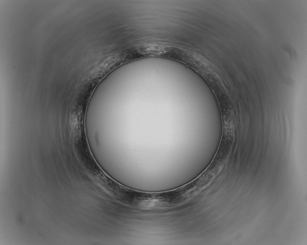 X0000113140460200909181733