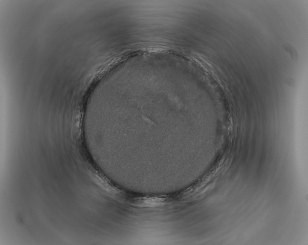 X0000113140462200909181733