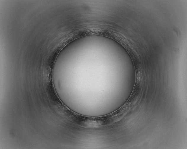 X0000113140464200909181733