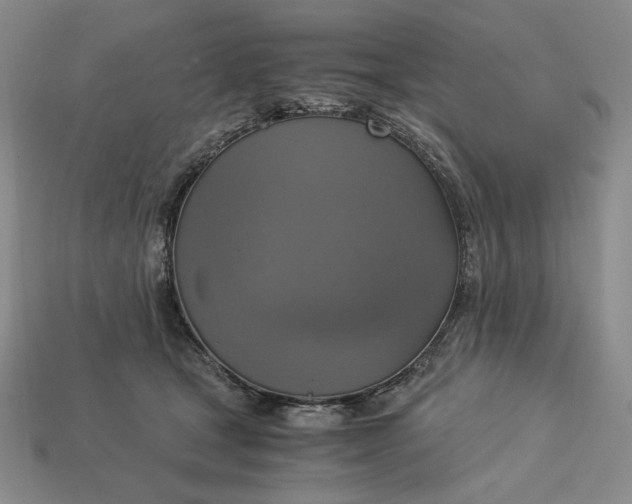 X0000113140465200909181733