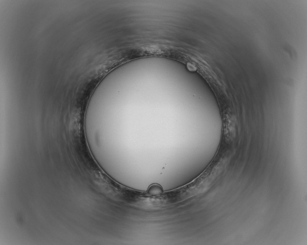 X0000113140466200909181733