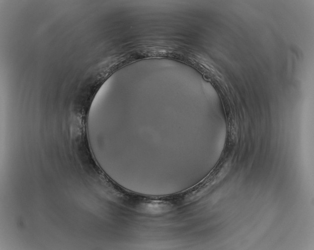 X0000113140467200909181733