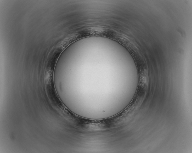 X0000113140468200909181733