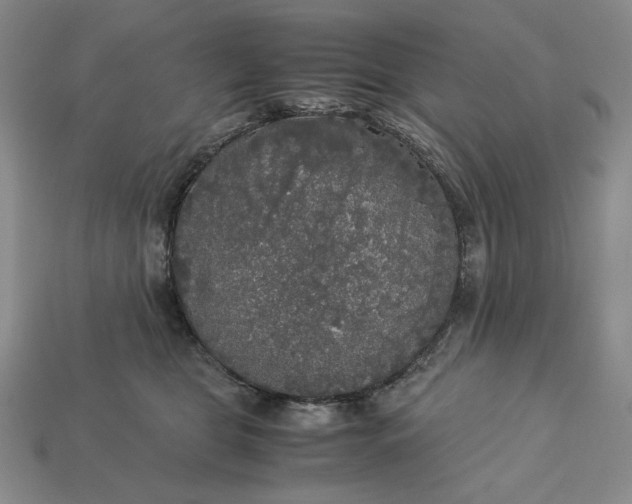 X0000113140469200909181733