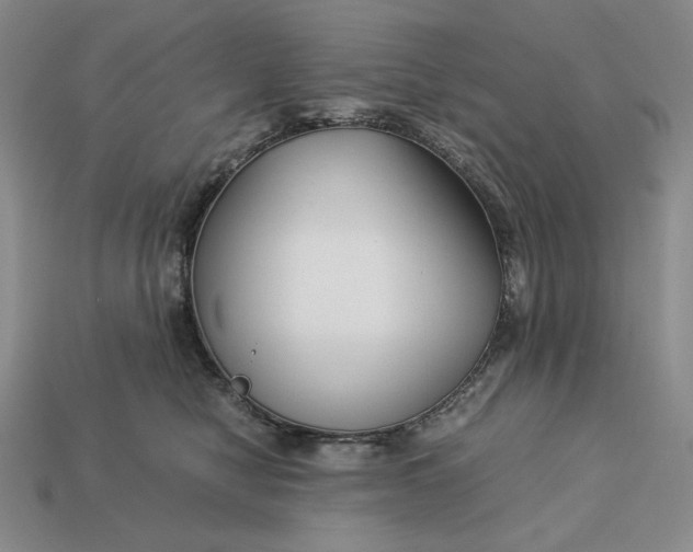 X0000113140470200909181733