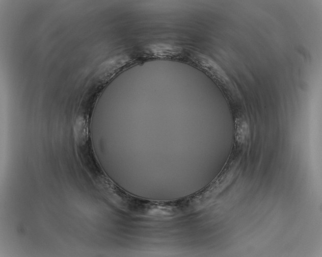 X0000113140471200909181733