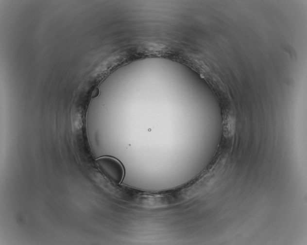 X0000113140472200909181733