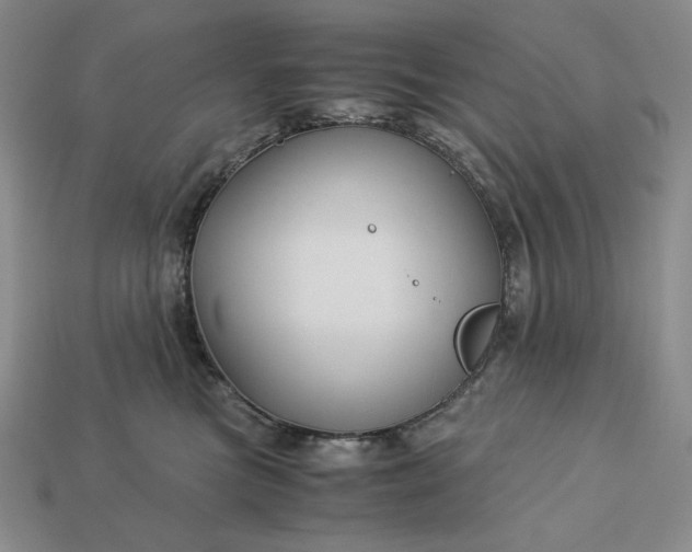 X0000113140473200909181733