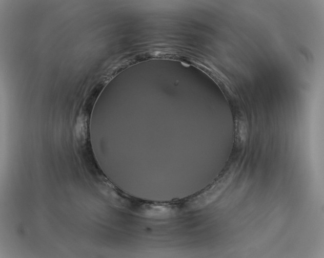 X0000113140475200909181733