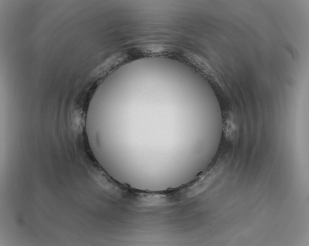 X0000113140476200909181733