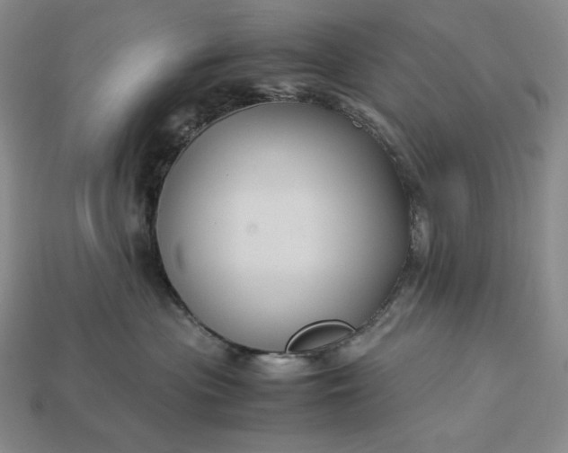 X0000113140477200909181733