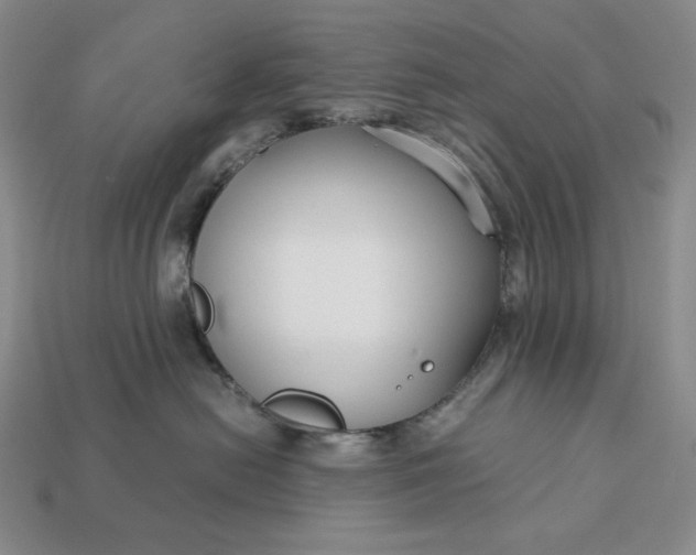 X0000113140478200909181733