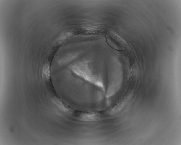 X0000113140479200909181733