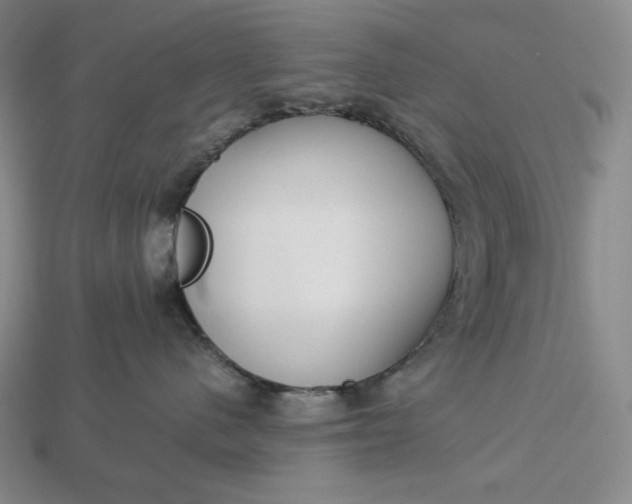 X0000113140480200909181733