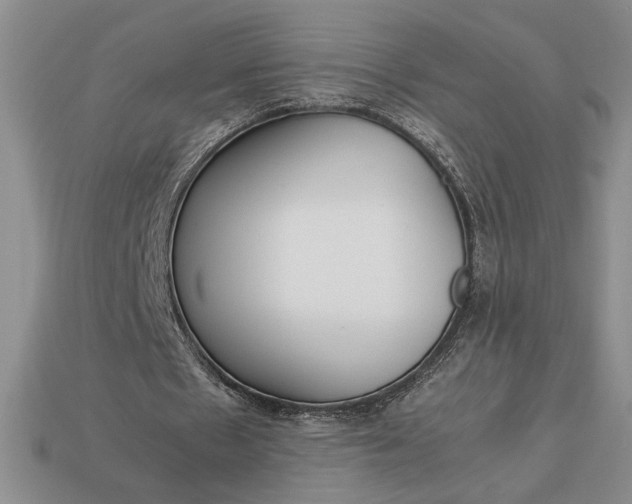 X0000113140481200909181733