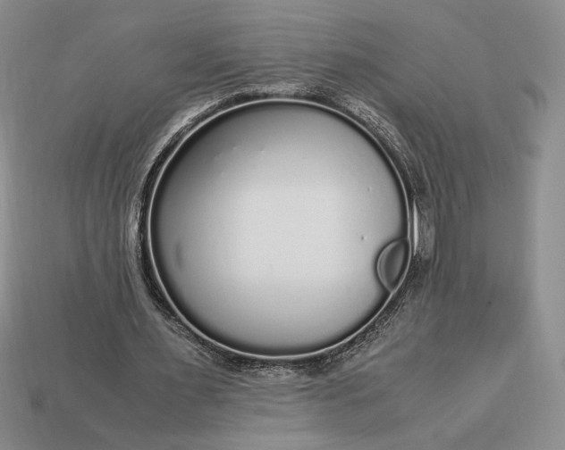 X0000113140483200909181733