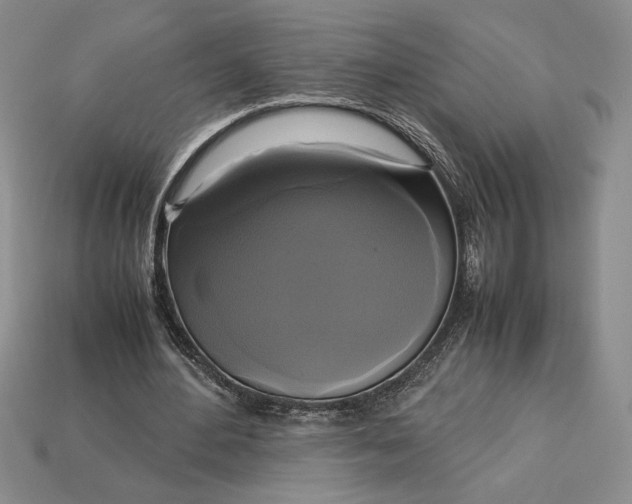 X0000113140484200909181733