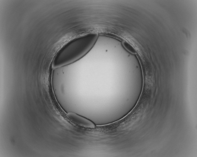 X0000113140485200909181733