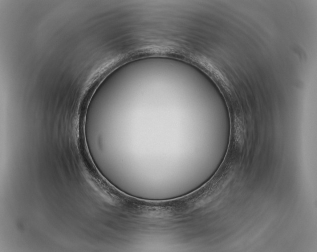 X0000113140486200909181733