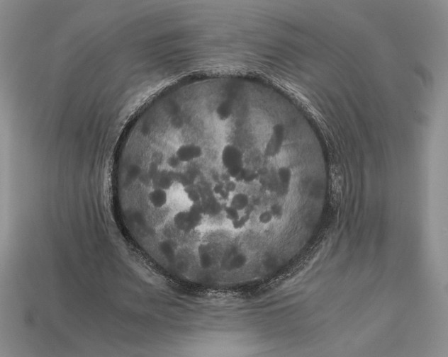 X0000113140487200909181733