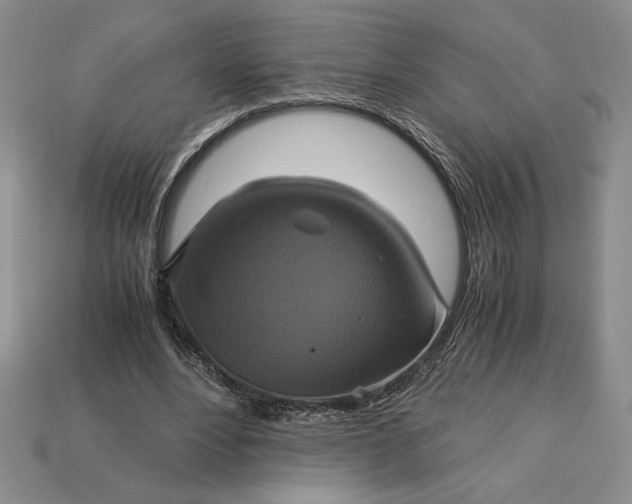 X0000113140488200909181733