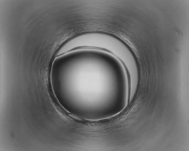 X0000113140489200909181733