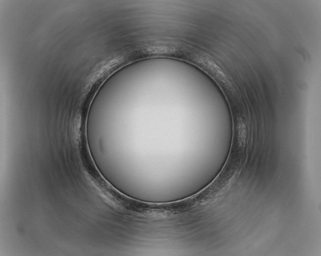 X0000113140490200909181733