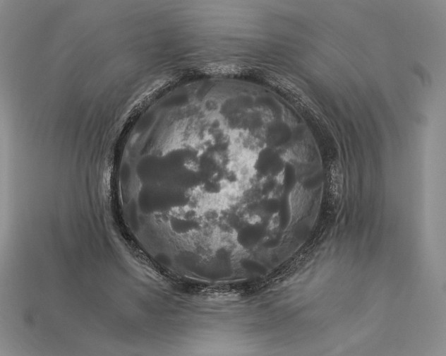 X0000113140491200909181733