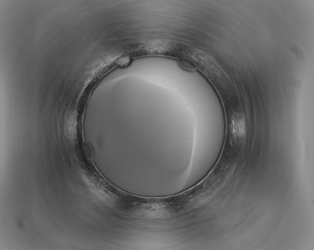 X0000113140492200909181733