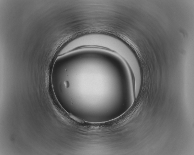 X0000113140493200909181732