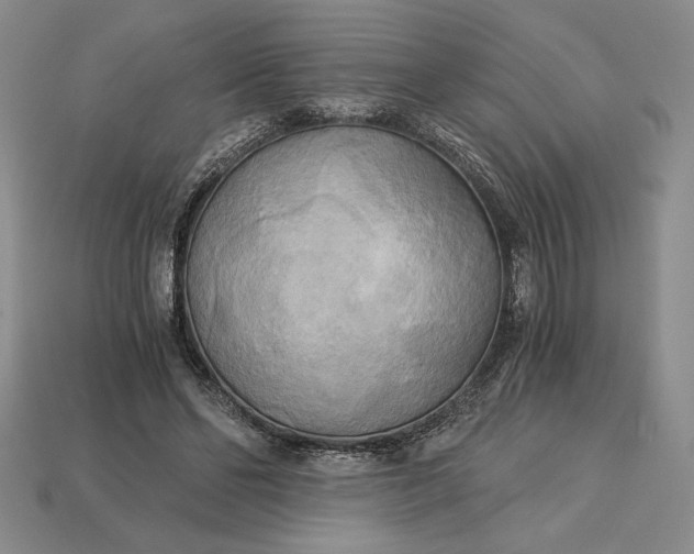 X0000113140494200909181732