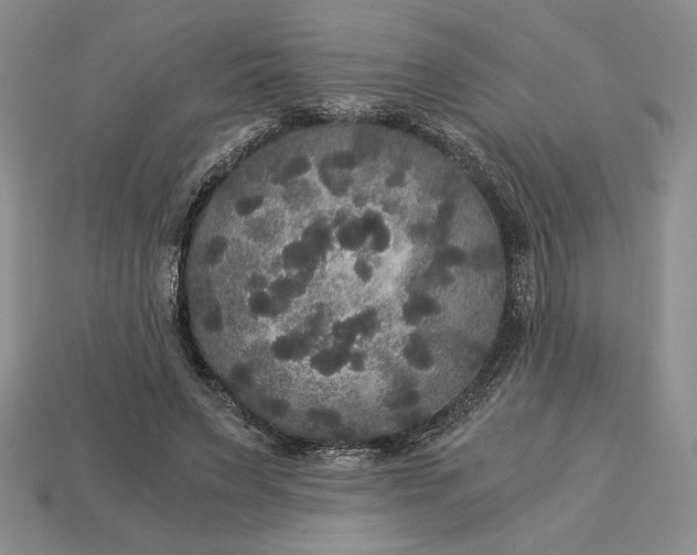 X0000113140495200909181732