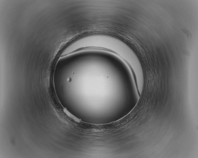 X0000113140496200909181732