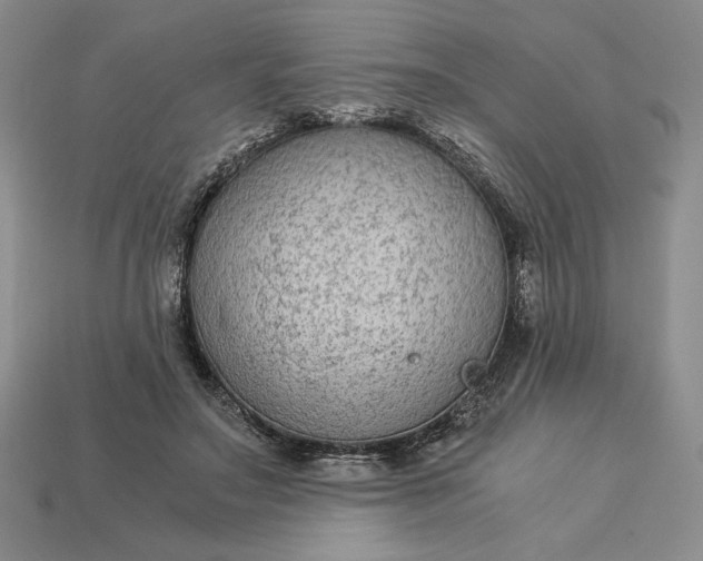 X0000113140499200909181732