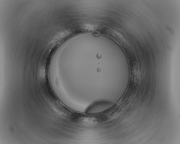 X0000113140500200909181732