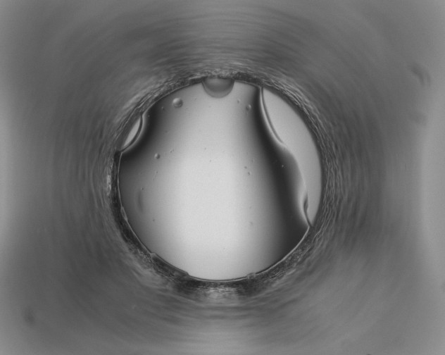 X0000113140501200909181732