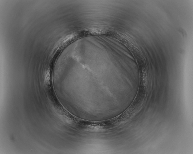 X0000113140502200909181732