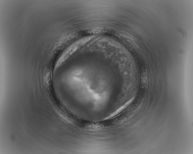 X0000113140503200909181732