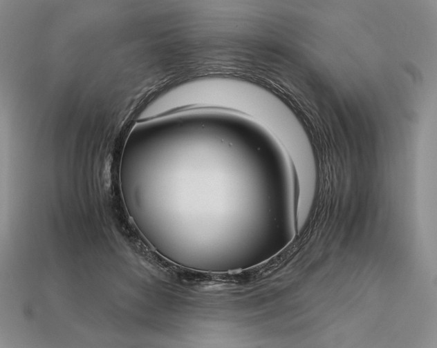 X0000113140504200909181732