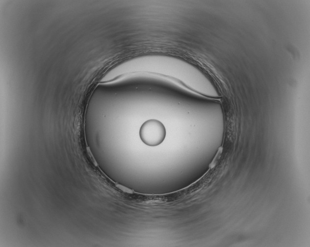 X0000113140505200909181732