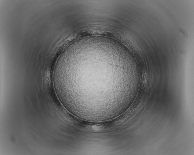 X0000113140506200909181732