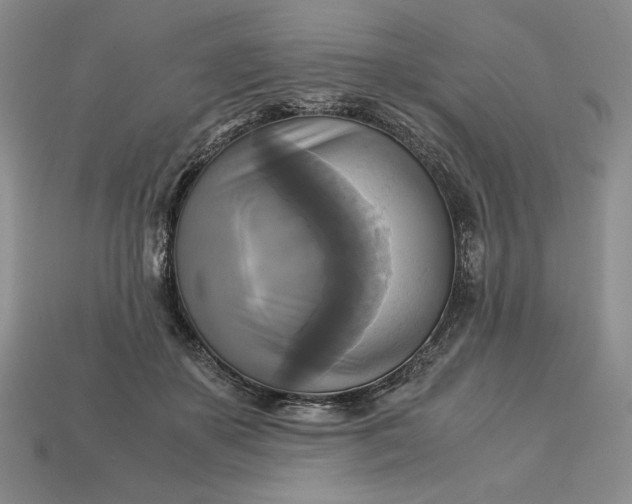 X0000113140507200909181732