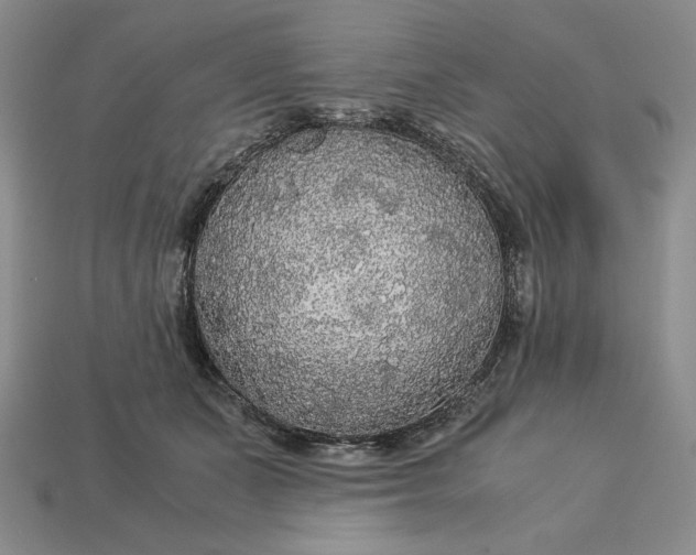 X0000113140511200909181732