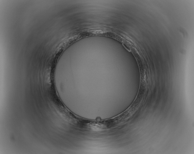 X0000113140512200909181732