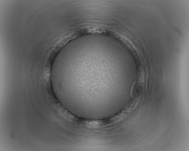 X0000113140513200909181732