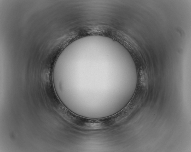 X0000113140514200909181732